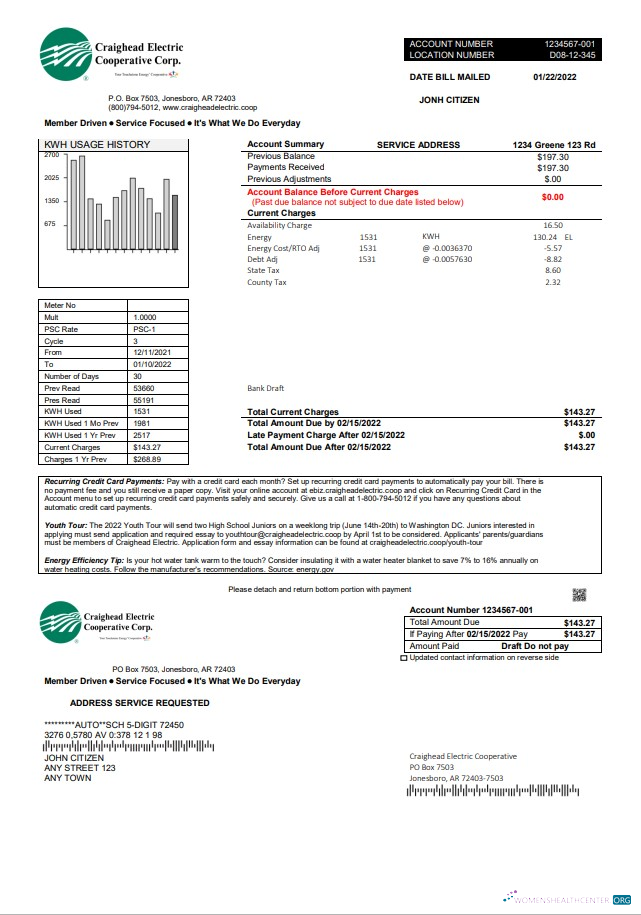 download download USA Craighead Electric utility bill template in Word and PDF format PDF template PDF template